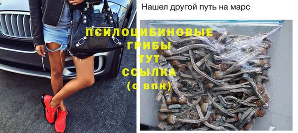 стаф Лагань