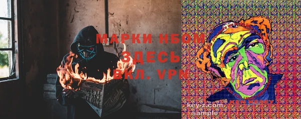 твердый Лабытнанги