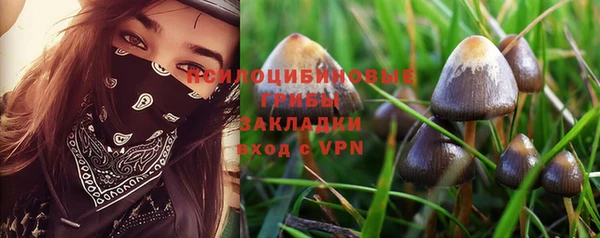 ешки Ладушкин
