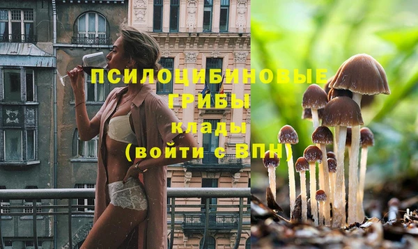 ешки Ладушкин