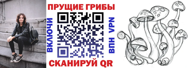 Псилоцибиновые грибы GOLDEN TEACHER  Купить закладки  Алексин 